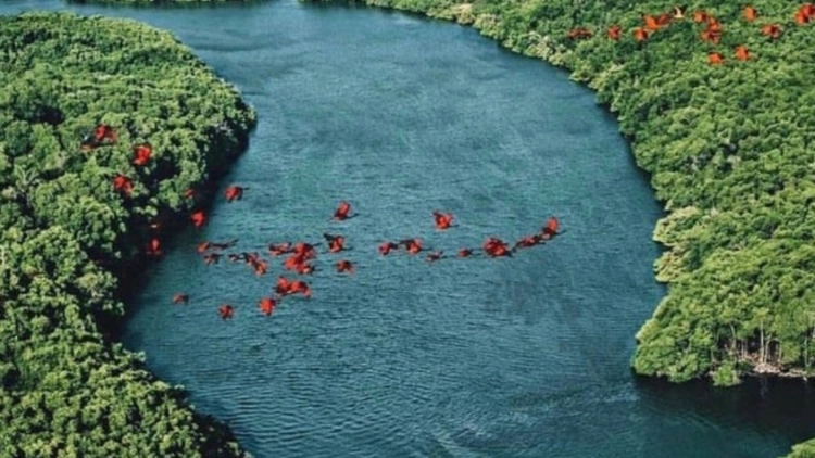 09 a 12/10 Delta das Am&eacute;ricas - Parna&iacute;ba, Lu&iacute;s Correia e Lagoa do Portinho PI